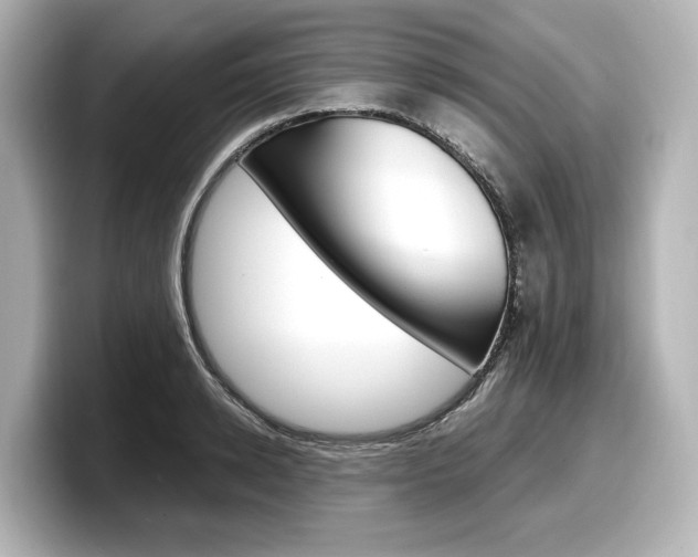 X0000098190942200804241048