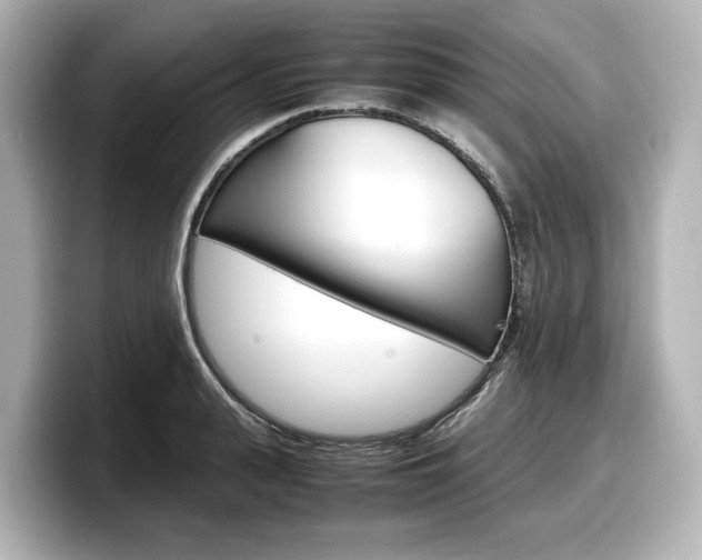 X0000098190943200804241048