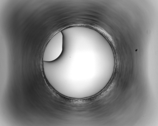 X0000098190945200804241048