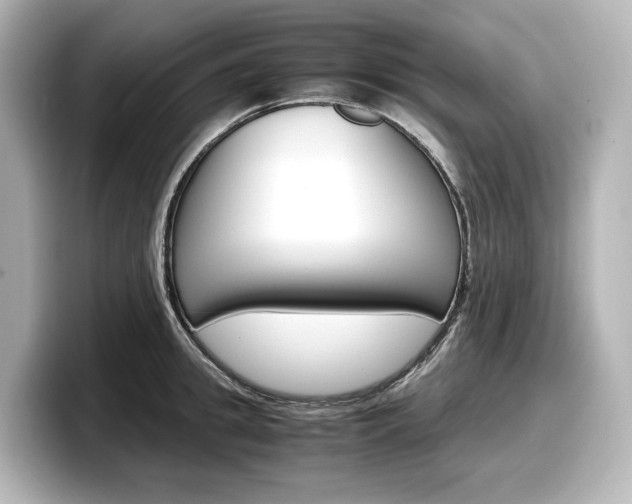 X0000098190949200804241048