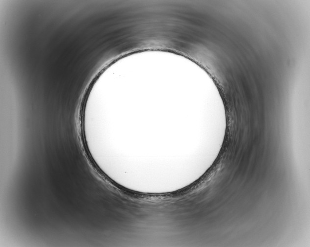 X0000098190950200804241048