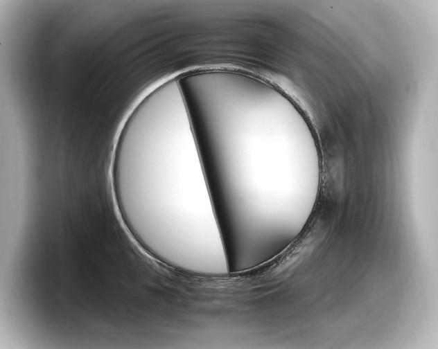 X0000098190951200804241048
