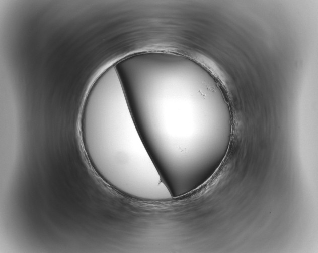 X0000098190952200804241048