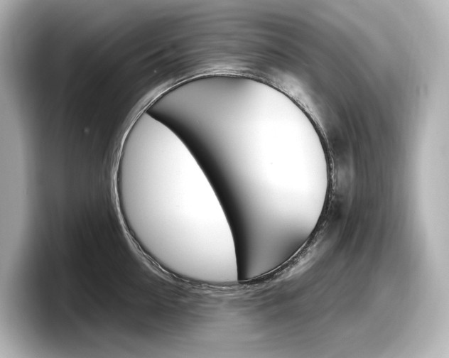 X0000098190954200804241048