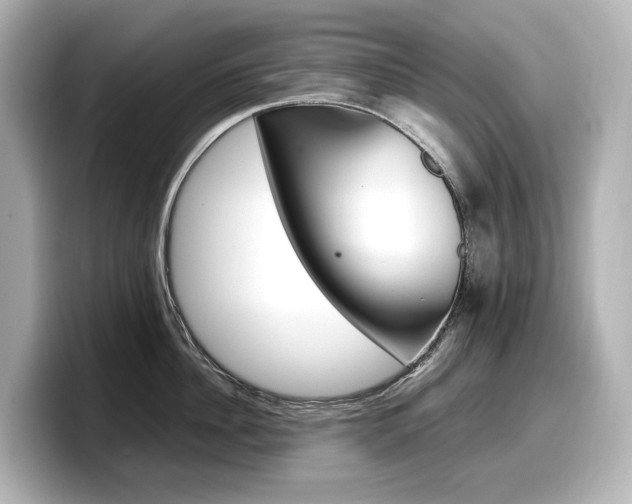 X0000098190956200804241048