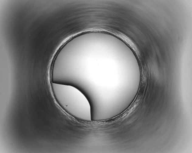 X0000098190958200804241048