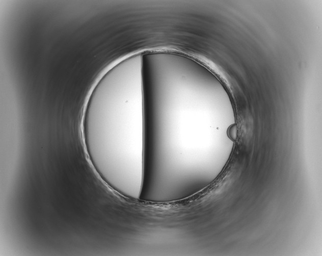 X0000098190959200804241048