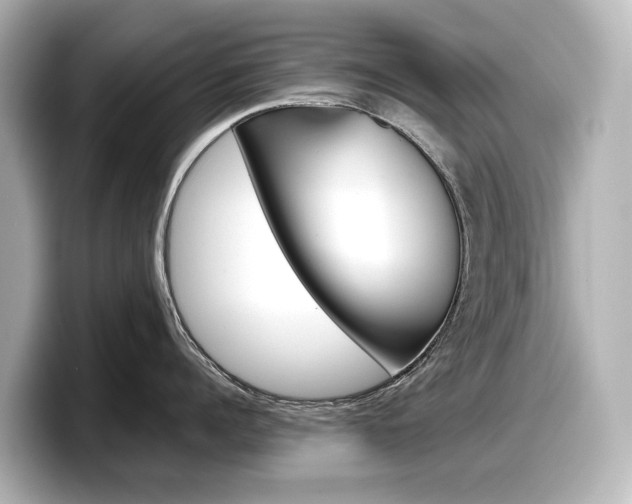 X0000098190960200804241048