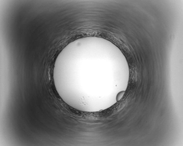 X0000098190962200804241048