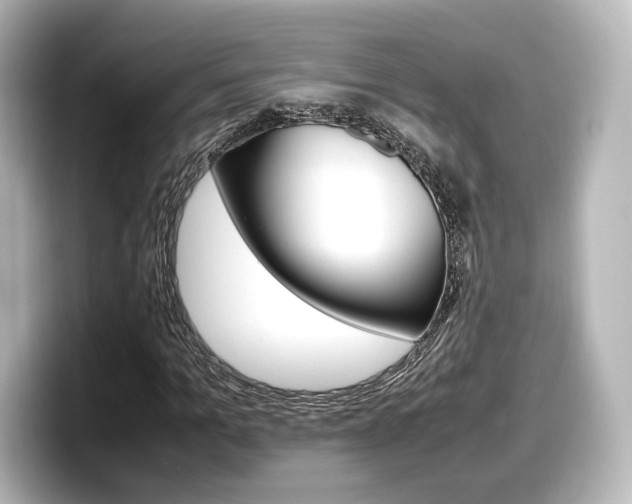 X0000098190965200804241048