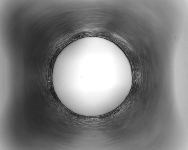 X0000098190966200804241047