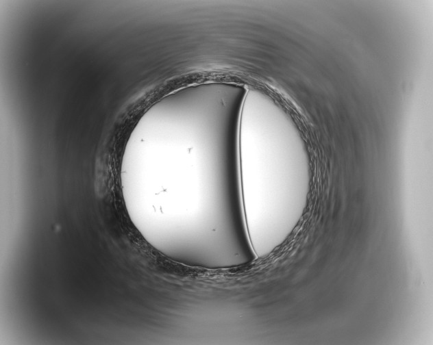 X0000098190967200804241047
