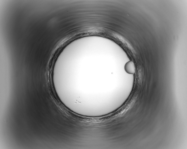 X0000098190970200804241047