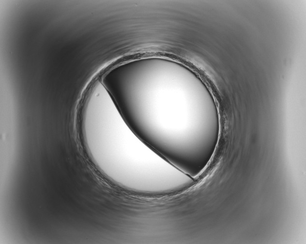 X0000098190973200804241047