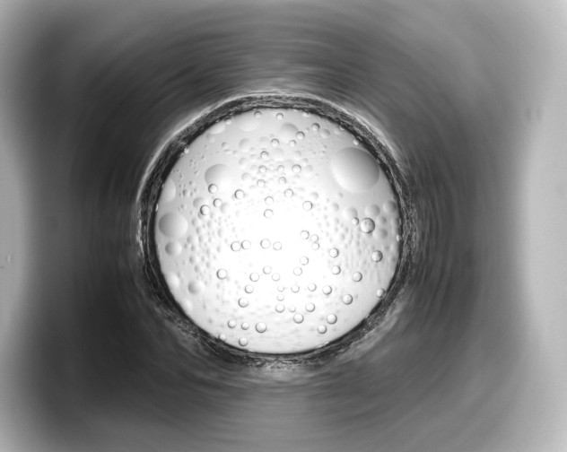 X0000098190974200804241047