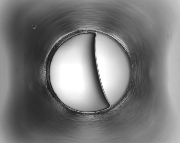 X0000098190976200804241047