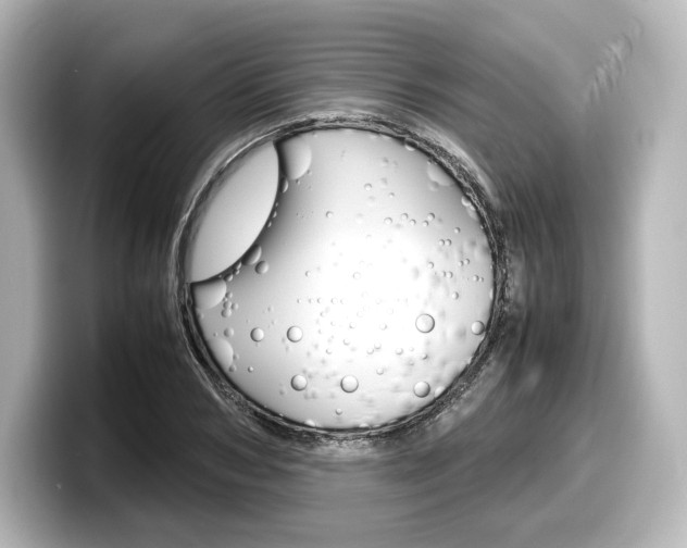 X0000098190978200804241047