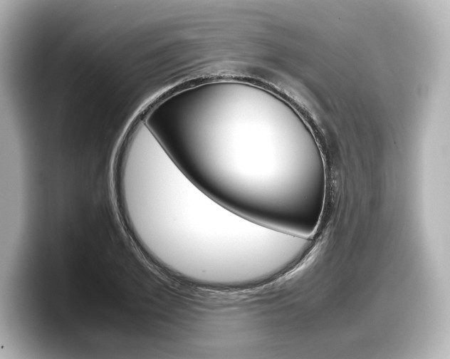 X0000098190981200804241047