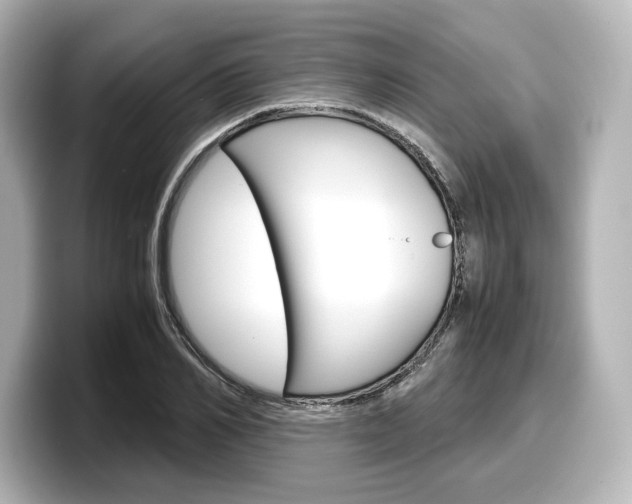 X0000098190982200804241047