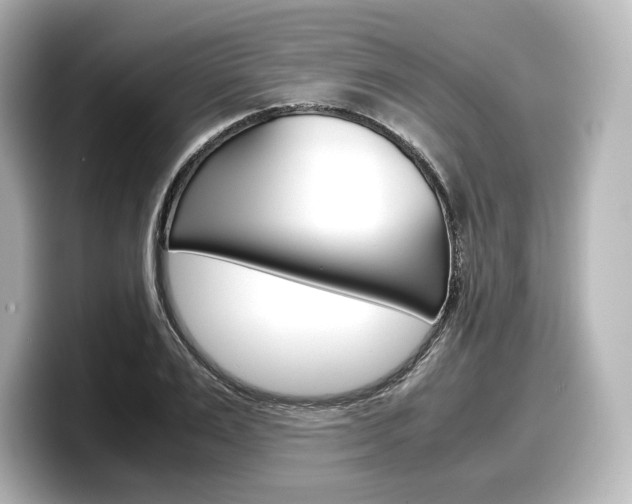 X0000098190983200804241047
