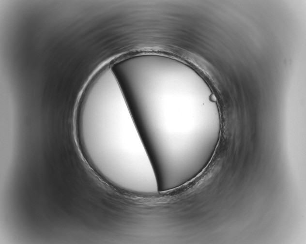 X0000098190984200804241047