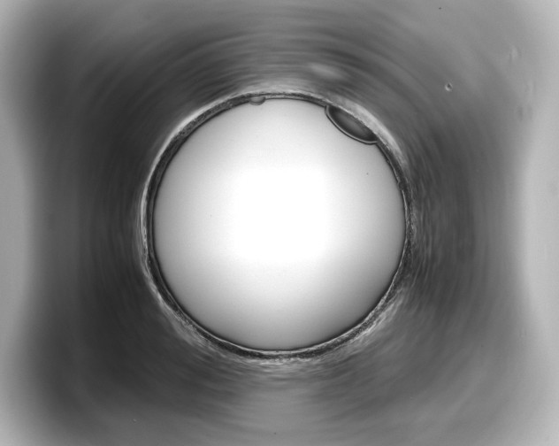 X0000098190988200804241047
