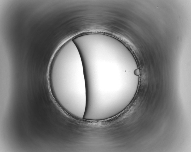 X0000098190990200804241047