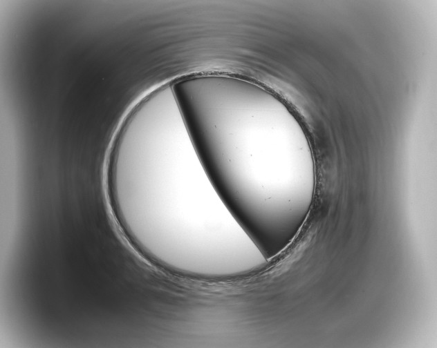 X0000098190991200804241047