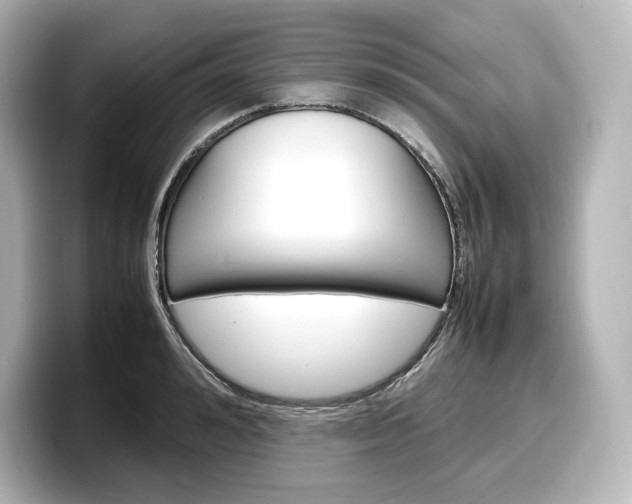 X0000098190992200804241047