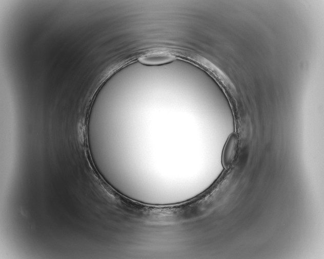 X0000098190993200804241047