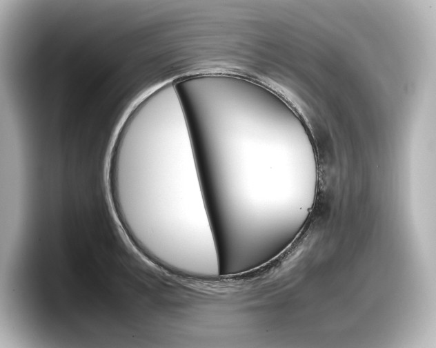 X0000098190995200804241047