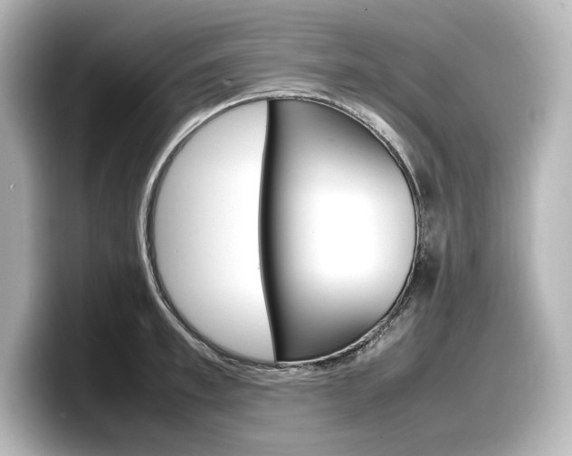 X0000098190997200804241047