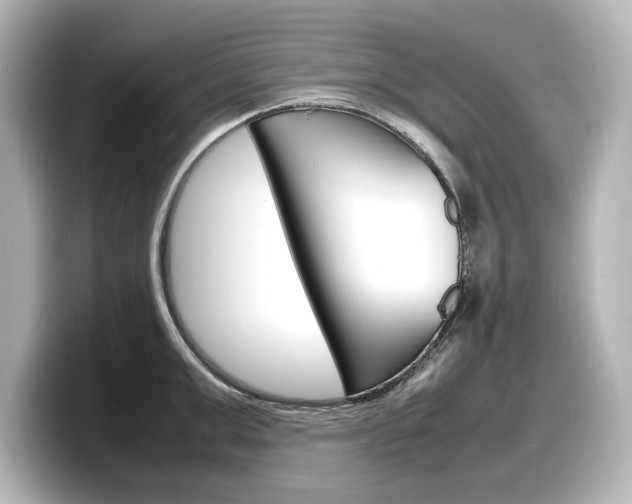 X0000098190999200804241047
