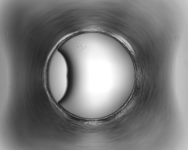 X0000098191000200804241047