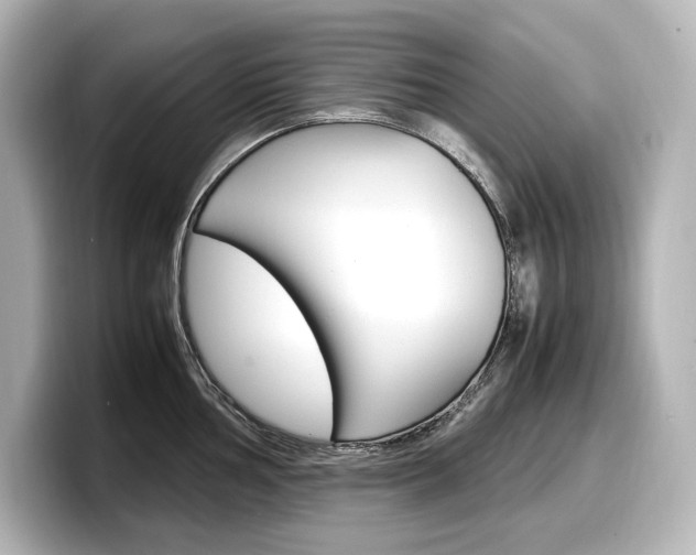 X0000098191002200804241047