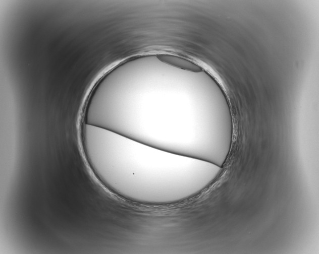 X0000098191003200804241047