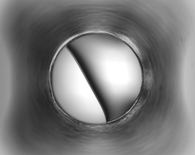 X0000098191004200804241047