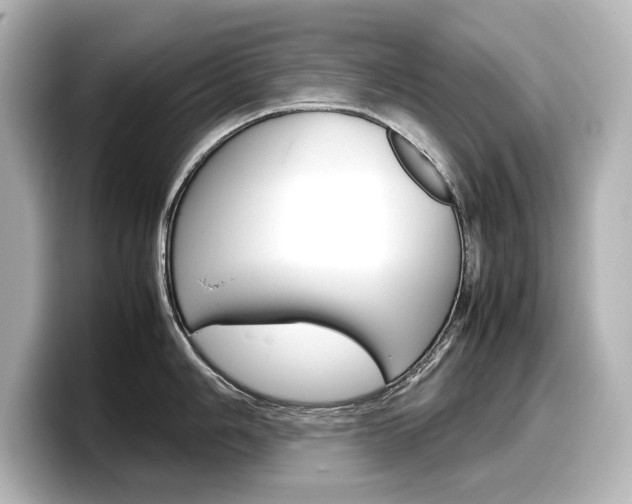 X0000098191006200804241047