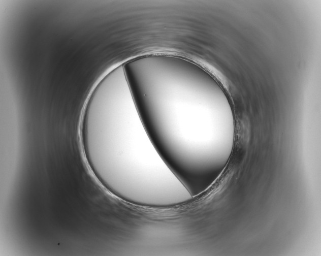 X0000098191007200804241047