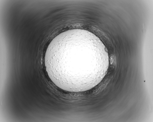 X0000098191011200804241046