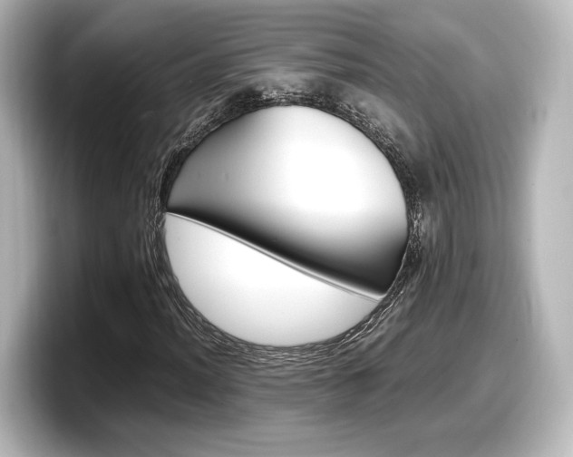 X0000098191012200804241046
