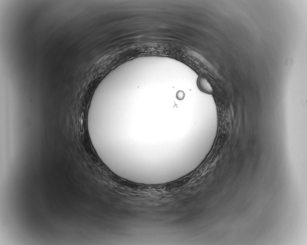 X0000098191013200804241046