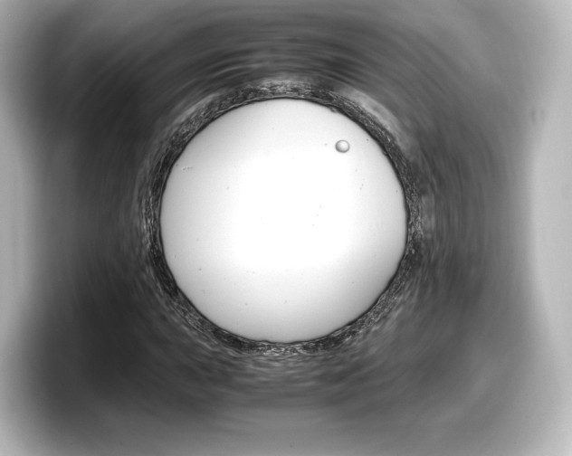 X0000098191015200804241046