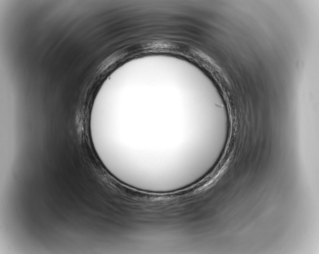 X0000098191017200804241046