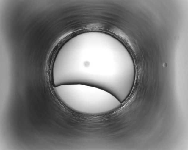 X0000098191019200804241046