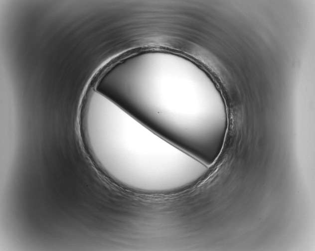X0000098191020200804241046