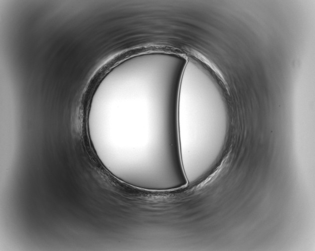 X0000098191021200804241046