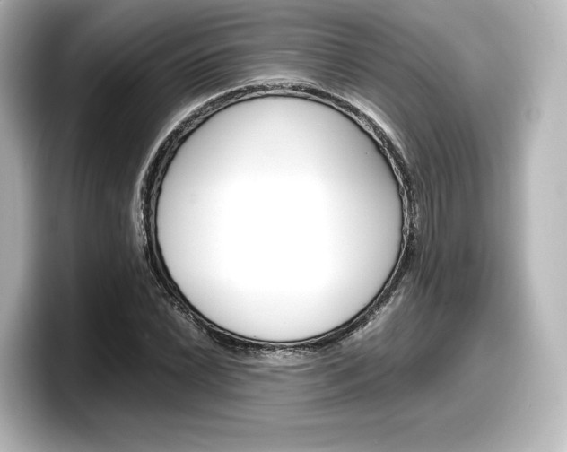 X0000098191022200804241046