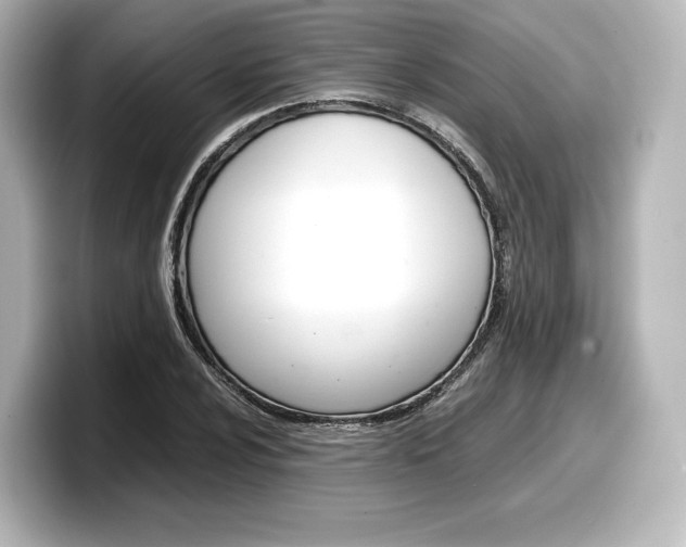X0000098191024200804241046