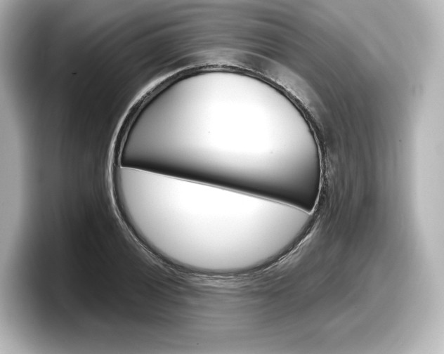 X0000098191028200804241047